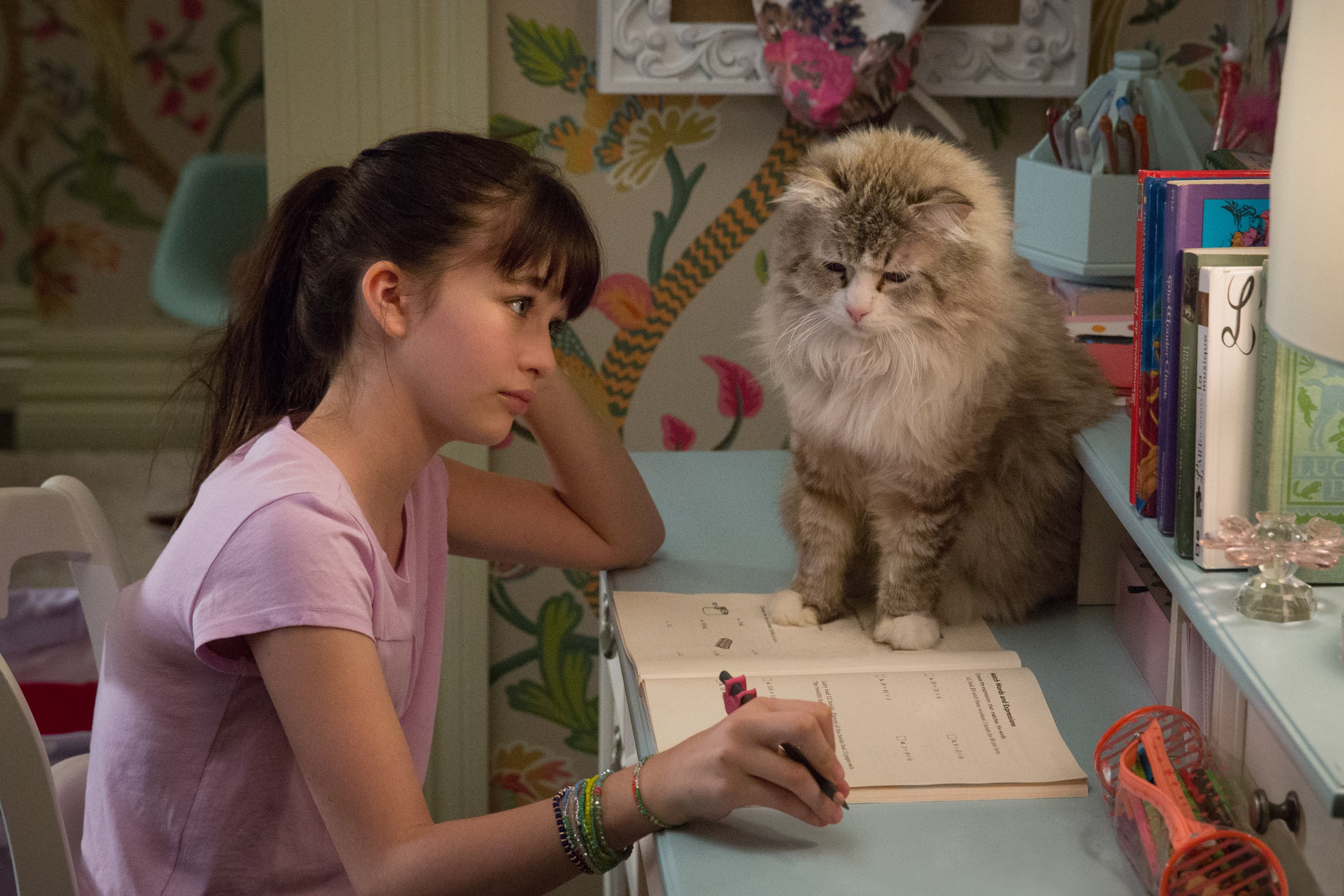 Melina Weissman and Mr. Fuzzy Pants star in Nine Lives. Photo courtesy: EuropaCorp