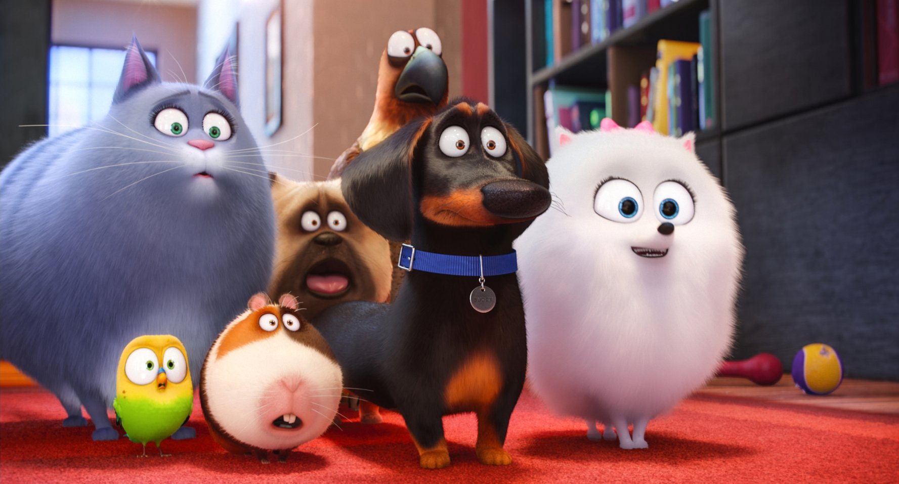 The Secret Life of Pets. Photo courtesy: Universal Pictures